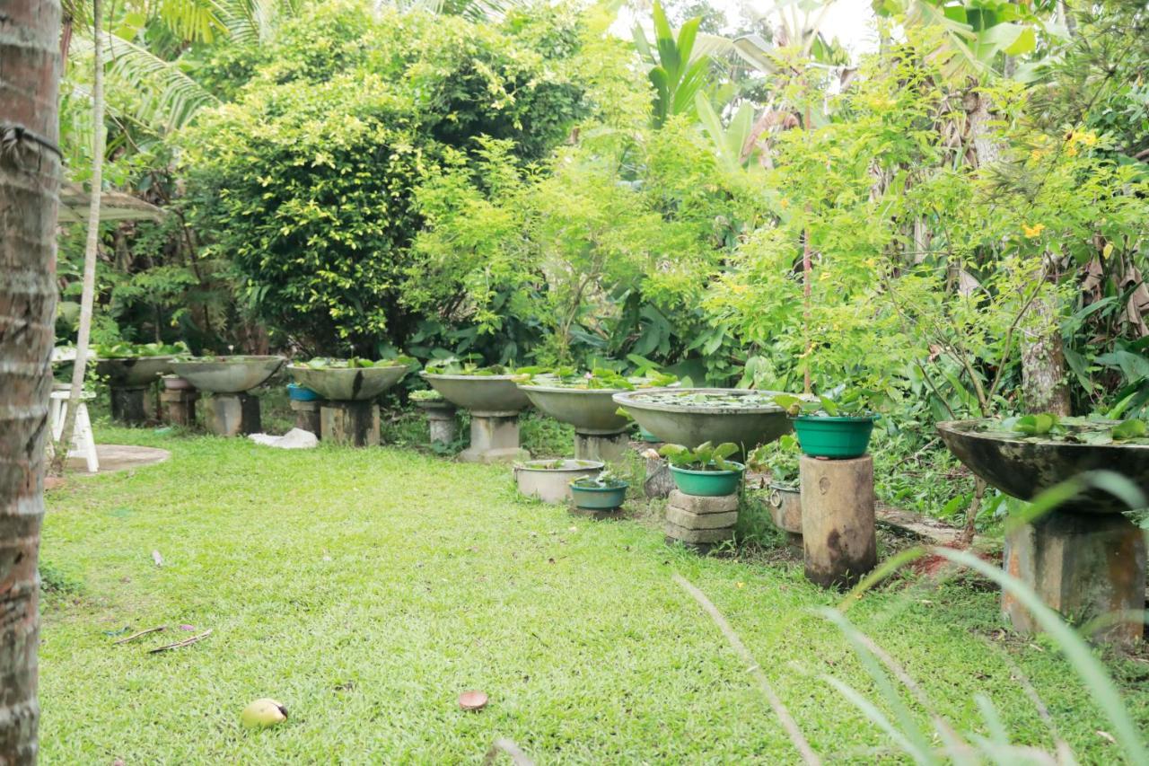 Kirala Villa Mihiripenne المظهر الخارجي الصورة