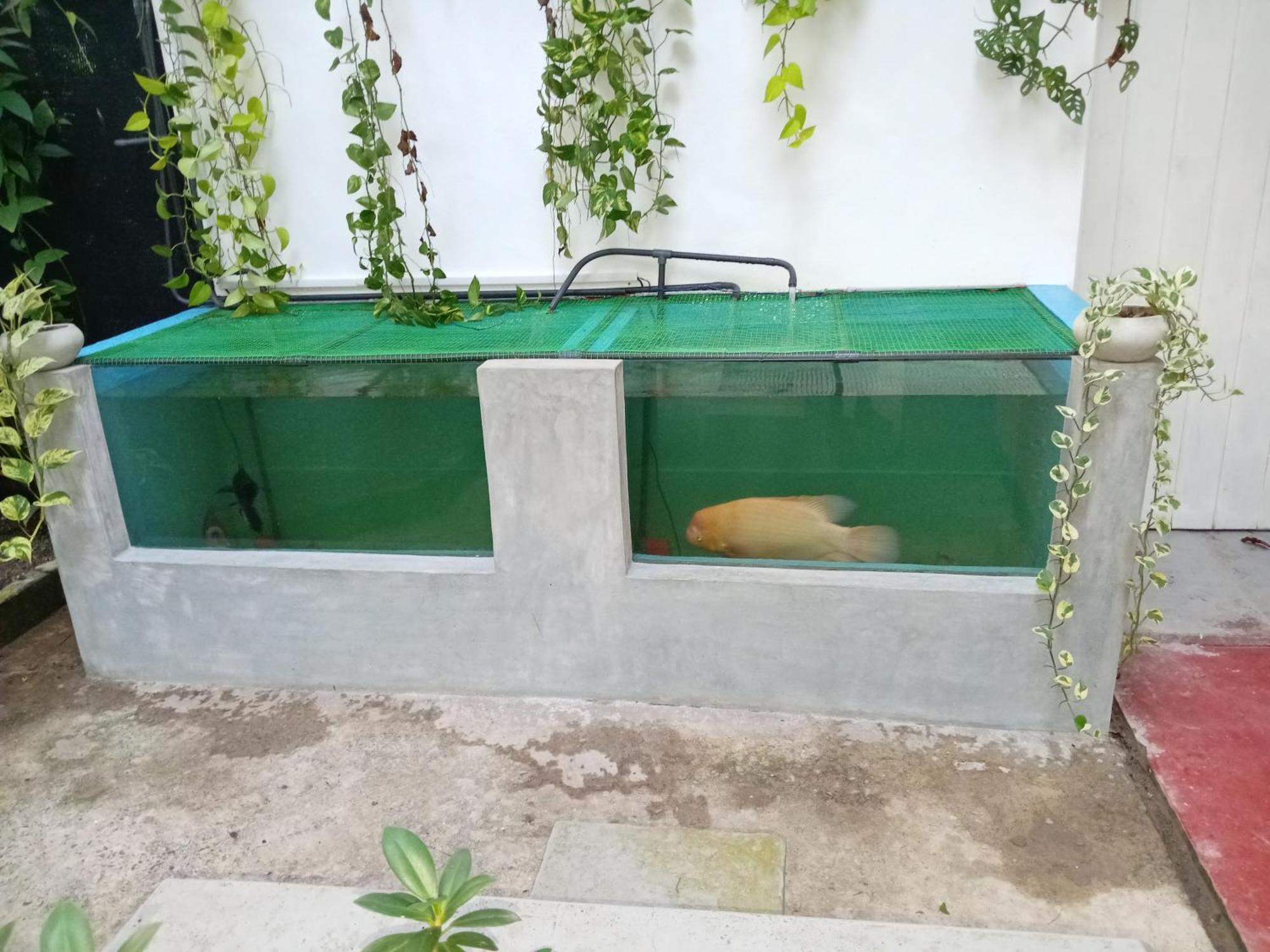 Kirala Villa Mihiripenne المظهر الخارجي الصورة